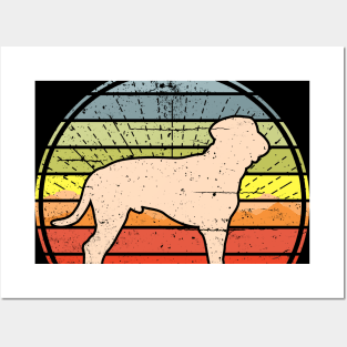 Labrador Sunset Posters and Art